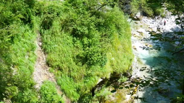 Вид Изумрудно Зеленый Поток Воды Реки Соча Проходящий Через Скалистое — стоковое видео
