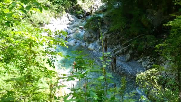 Video Med Utsikt Från Träden Floden Soca Rinner Genom Berget — Stockvideo
