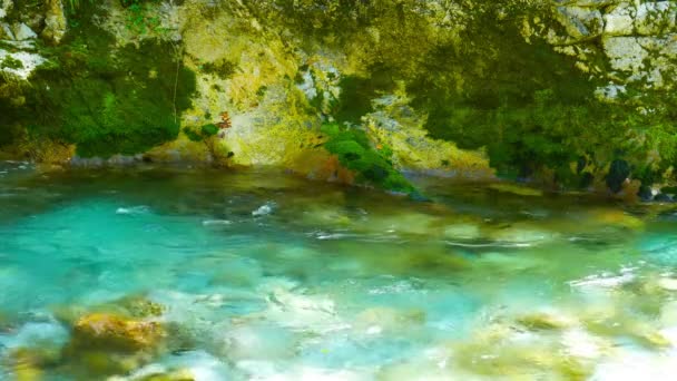 Придивіться Смарагдового Зеленого Потоку Води Річки Сока Коли Вона Проходить — стокове відео