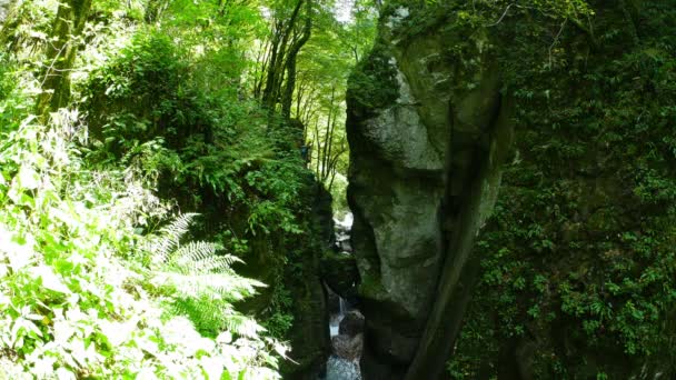 Zicht Smalle Rotskloof Het Bos Rivier Soca Stroomt Doorheen Slovenië — Stockvideo