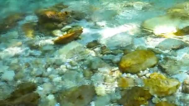 Filmagem Água Corrente Rio Montanha Soca Água Cristalina Rochas Visíveis — Vídeo de Stock