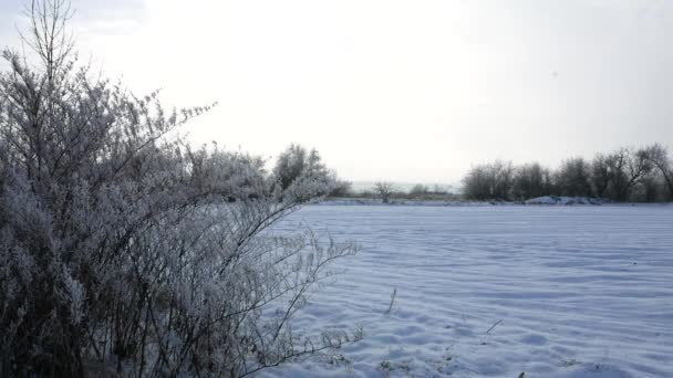 Vista Sobre Lago Invierno Congelado Través Los Arbustos — Vídeos de Stock