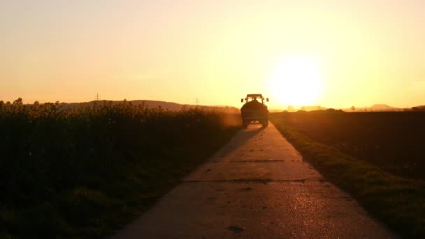 Filmagem Trator Cavalgando Faixa País Pôr Sol Campo Girassóis Lado — Vídeo de Stock