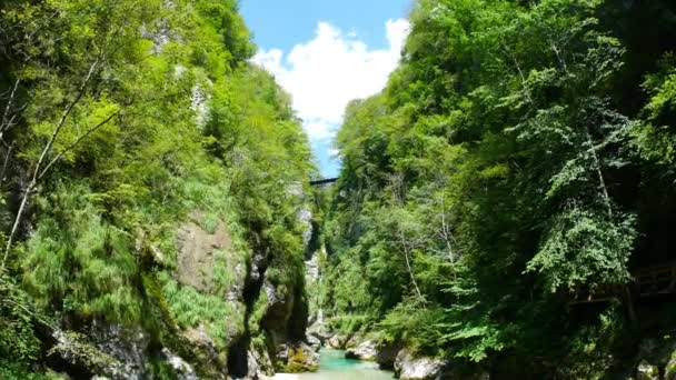 Utsikt Över Den Smala Klippravinen Skogen Och Floden Soca Rinner — Stockvideo