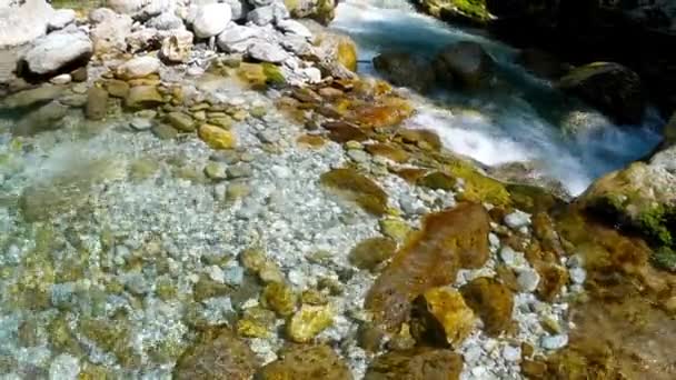 山の岩の川の映像透明な水でソカは森の中を走ります — ストック動画