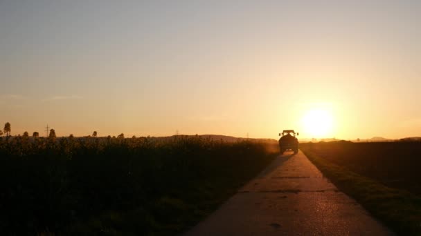 Aufnahme Eines Traktors Auf Einem Feldweg Sonnenuntergang Und Sonnenblumenfeld Auf — Stockvideo