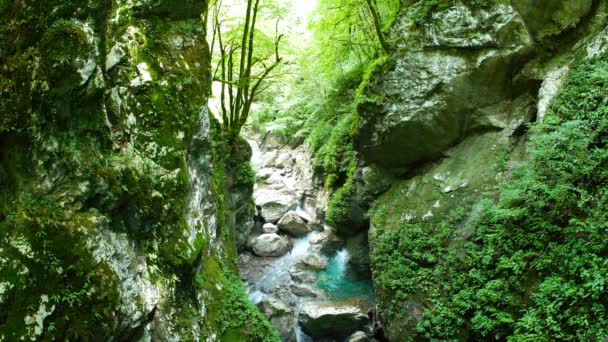 Veduta Della Stretta Gola Rocciosa Nella Foresta Del Fiume Soca — Video Stock