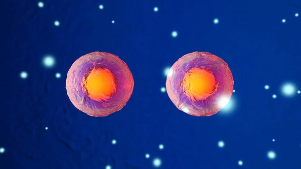 Kök hücreler bölünüyor — Stok fotoğraf