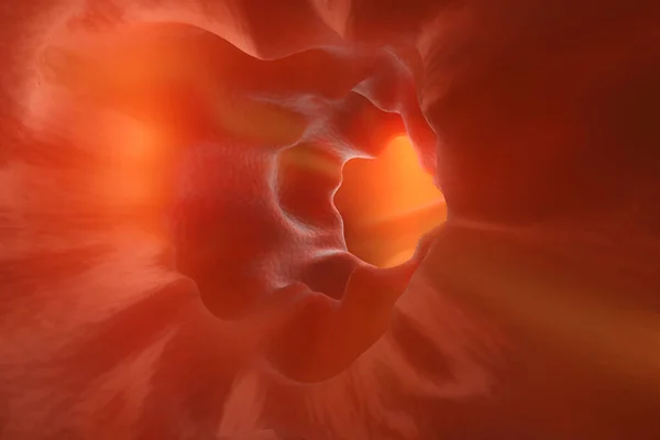 人体肠道肠镜检查的三维图像 — 图库照片