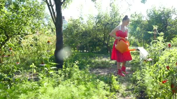Güzel Eko Bahçesinde Taze Organik Sebzeleri Sulayan Genç Bir Kadının — Stok video