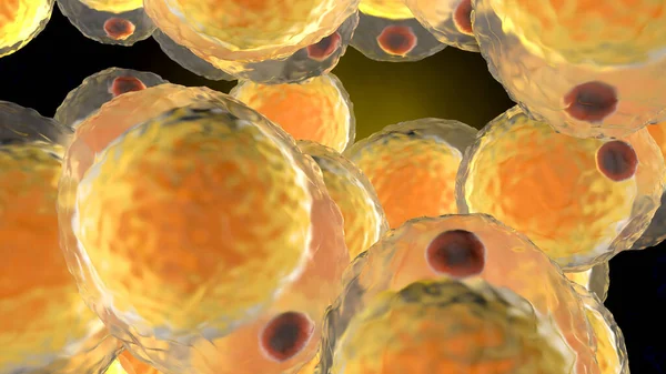 Ett kluster av fettceller — Stockfoto