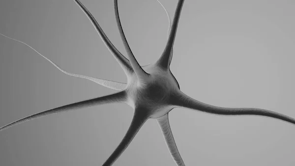 3D rendu Illustration d'une cellule neuronale — Photo