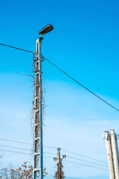 Foto van een straatlamp bij daglicht — Stockfoto