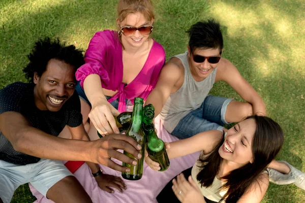 Sekelompok teman bersulang dengan bir di taman — Stok Foto