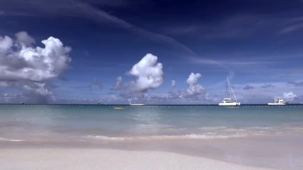 Acqua Che Lambisce Spiaggia Telecamera Chiusa Suoni Delle Onde — Video Stock