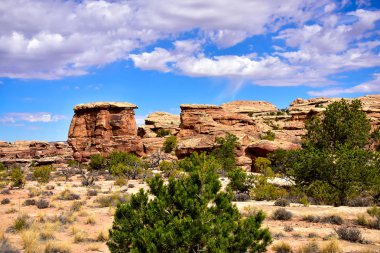 Durağındayım sahne Canyonlands Milli Parkı, Utah.