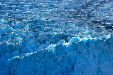 Buz Sawyer Glacier, Tracy kol fiyort üzerinde Kapat