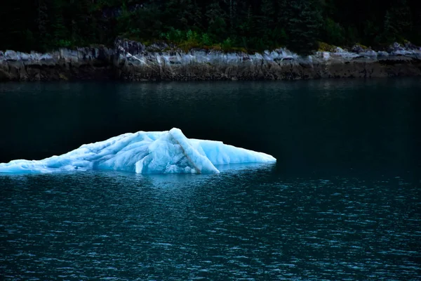 Iceberg Flottant Dans Fjord Tracy Arm Alaska — Photo