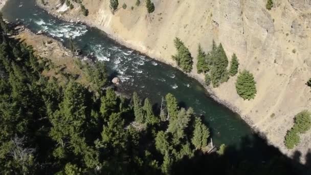 Yellowstone River Bei Calcitquellen Die Kamera Neigt Sich Nach Oben — Stockvideo