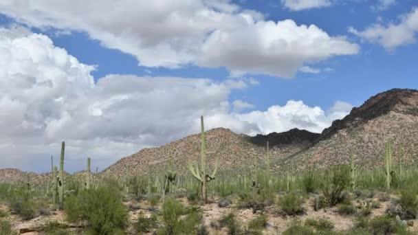 Time Lapse Stratus Clouds Saguaro National Forest Arizona Clouds Moving — Stock Video