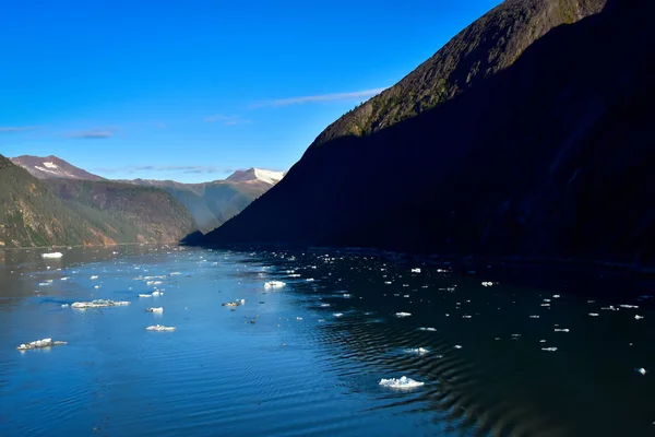 Blick Auf Den Tracy Arm Fjord Mit Schwebenden Eisbergen — Stockfoto