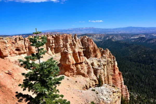 Black Birch Canyon Stock Image