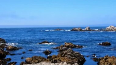 Monterey Körfezi, Kaliforniya'daki kayalarda dalgalar. Kamera el, soldan sağa kaydırma.
