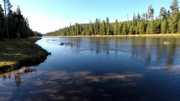 Río Firehole Que Fluye Través Del Parque Nacional Yellowstone Cámara — Vídeos de Stock