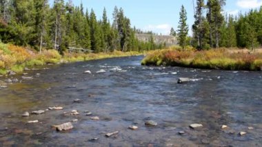 Sheepeater Cliffs, Yellowstone Milli Parkı yakınlarındaki Gardner Nehri görünümü. Kamera Kilitli.