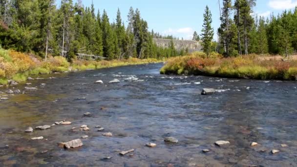 Kilátás Gardner Folyó Közelében Sheepeater Sziklák Yellowstone Nemzeti Parkban Kamerával — Stock videók
