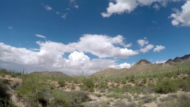 Zeitraffer Saguaro Nationalpark Arizona Kameraschwenk Von Links Nach Rechts — Stockvideo