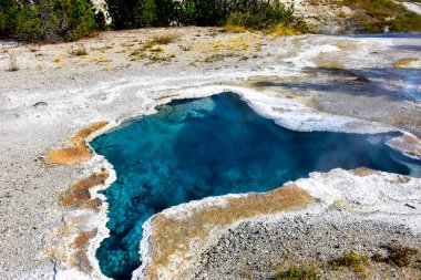 Blue Star Spring, Geyser Hill, Yellowstone Ulusal Parkı.