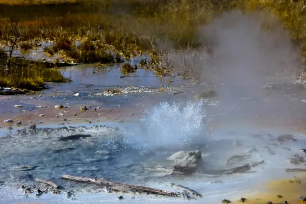 Minutový Gejzír Vybuchující Norrisově Povodí Yellowstonský Národní Park — Stock fotografie
