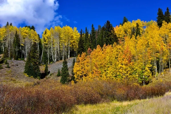 Podzimní Barvy San Juan Skyway Coloradu — Stock fotografie