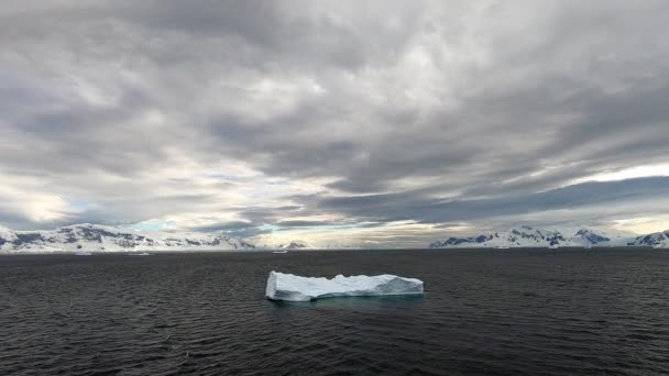 Iceberg Flotando Libremente Estrecho Gerlache Antártida Las Características Tierra Fondo — Vídeos de Stock