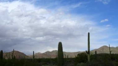 Güney Arizona 'daki Sonoran Çölü' nde hareket eden bulutların zamanı. Kamera soldan sağa dönüyor, bulutları takip ediyor..