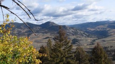 Yellowstone Ulusal Parkı 'nda sonbahar renklerine dönüyor. Kamera soldan sağa hareket ediyor.