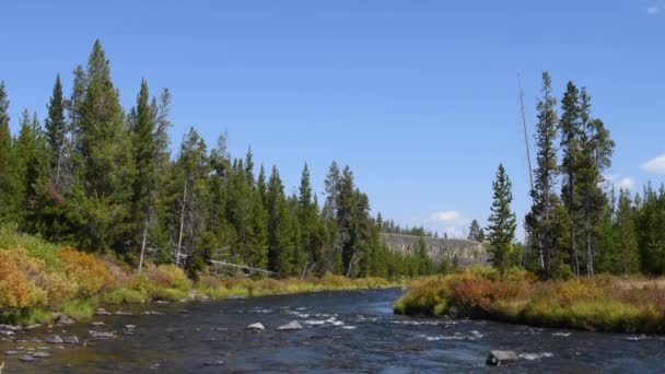 Gardner Rivier Bij Sheepeater Cliff Yellowstone National Park Wyoming Camera — Stockvideo