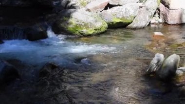 Tower Falls yakınlarındaki Yellowstone Ulusal Parkı 'nda akan küçük bir nehirde. Kamera akıntıya karşı gidiyor. Ses ile.