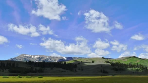 Een Tijdspanne Van Cumulus Wolken Die Het Zwanenmeer Bewegen Yellowstone — Stockvideo