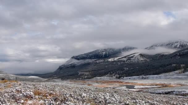 Sen Nedgång Yellowstone National Park Lamar Valley Med Lätt Damning — Stockvideo