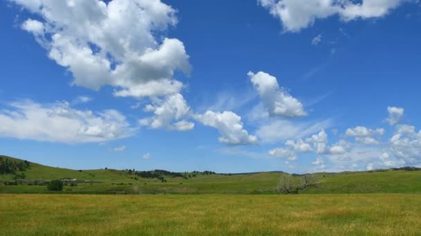 Timelapse Nubes Custer State Park Dakota Del Sur Cámara Bloqueada — Vídeo de stock