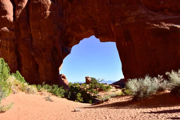 Dennenboom Boog Bij Arches National Park Utah — Stockfoto