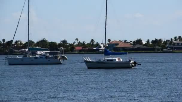 Sailboats Indian River Florida — Stock Video