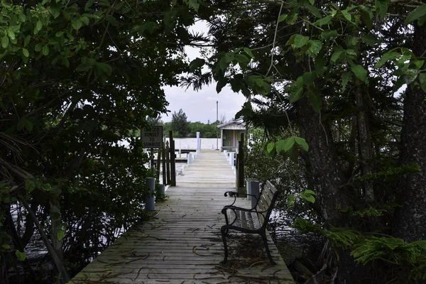 Tree covered deck leading to a pier — Stock Photo, Image