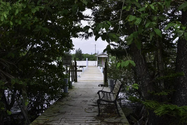 Cubierta de árboles que conduce a un muelle — Foto de Stock