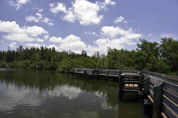 Lagoon pier — Stock Photo, Image