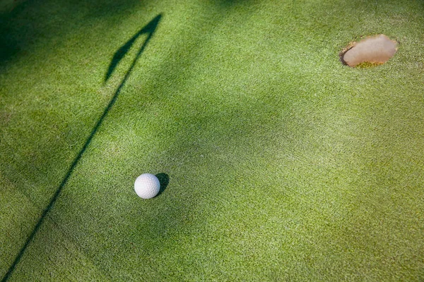 Mini golf white ball on artificial grass