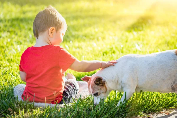 Lindo Bebé Niño Sentado Hierba Mascotas Perro — Foto de Stock