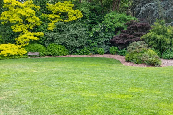 Cenário Verde Bonito Jardim Com Banco Madeira — Fotografia de Stock
